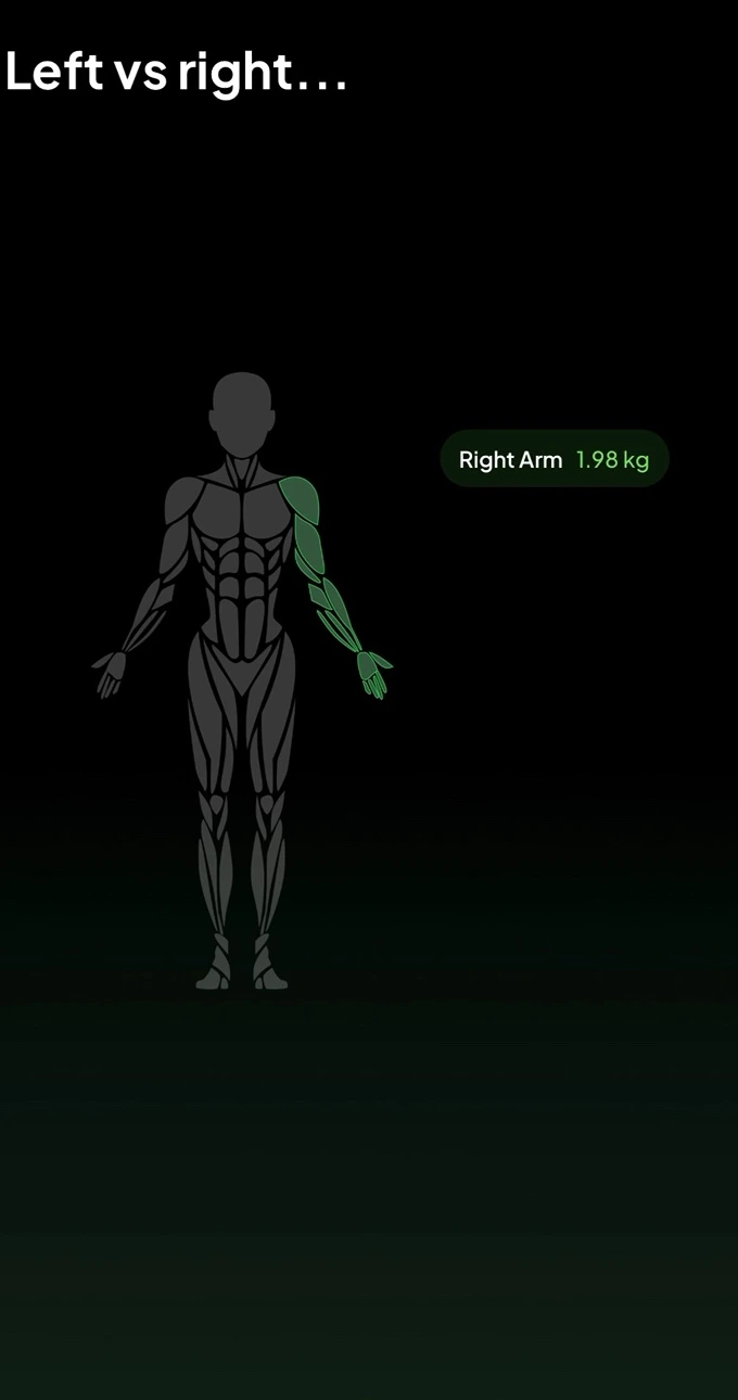 Your muscle balance, from an anonymised report